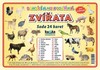 DOMÁCÍ A HOSPODÁŘSKÁ ZVÍŘATA-SADA 24 KARET
