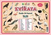 PTÁCI ZVÍŘATA-SADA 24 KARET