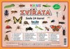 ZVÍŘATA HMYZ -SADA 24 KARET