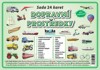 DOPRAVNÍ PROSTŘEDKY-SADA 24 KARET