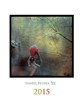 DANIEL REYNEK 2015-NÁSTĚNNÝ KALENDÁŘ