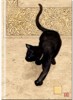 PŘÁNÍ BLACK CAT D064