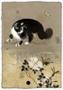 PŘÁNÍ CAT AND BUTTERFLIES D169