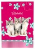 ÚKOLNÍČEK A6: CATS