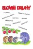SLOVNÍ DRUHY-PROCVIČOVACÍ SEŠIT PRO 3.ROČNÍK ZŠ