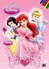 DISNEY PRINCEZNY-OMALOVÁNKY A5
