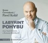CD-LABYRINT POHYBU  (ČTOU VASIL FRIDRICH A ROMANA RŮŽIČKOVÁ)