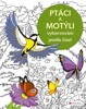 VYBARVOVÁNÍ PODLE ČÍSEL: PTÁCI A MOTÝLI