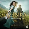 CD-CIZINKA - 2CDMP3   ČTE JITKA JEŽKOVÁ