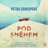 CD-POD SNĚHEM - CDMP3