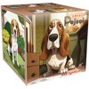 PEXESO BOX LUX PEJSCI