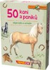 EXPEDICE PŘÍRODA: 50 KONÍ A PONÍKŮ