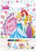 DISNEY PRINCEZNY-RAZÍTKOVÁNKY    RAZÍTKA,PUZZLE,VYMALOVÁVÁNÍ