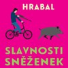 CD-SLAVNOSTI SNĚŽENEK