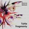CD-TYHLE FRAGMENTY (CDMP3, ČTOU ČERNÁ,ČERNÝ,FINGER A DALŠÍ)