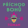 CD-PŘÍCHOD BOHŮ (CDMP3, ČTE IVAN ŘEZÁČ)