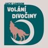 CD-VOLÁNÍ DIVOČINY  (CDMP3, ČTE JAN VLASÁK)
