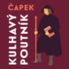 CD-KULHAVÝ POUTNÍK