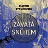 CD-ZAVÁTÁ SNĚHEM (CDMP3, ČTE MARTIN PREISS)