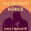 CD-NA VĚTRNÉ HŮRCE