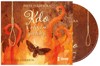 CD-KDO S OHNĚM ZACHÁZÍ (CDMP3, ČTE VASIL FRIDRICH)