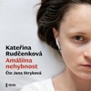 CD-AMÁLIINA NEHYBNOST (CDMP3, ČTE JANA STRYKOVÁ)