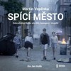 CD-SPÍCÍ MĚSTO (CDMP3, ČTE JAN HOLÍK)