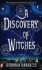 A DISCOVERY OF WITCHES