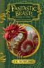 FANTASTIC BEASTS AND WHERE TO FIND THEM   NEWT SCAMANDER