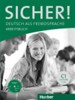 SICHER!C1:ARBEITSBUCH MIT CD ROM