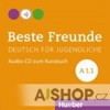 BESTE FREUNDE A1/1 AUDIO CD ZUM KURSBUCH TSCHECHICHS-CD