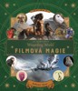 KOUZELNICKÝ SVĚT J. K. ROWLINGOVÉ-FILMOVÁ MAGIE 2
