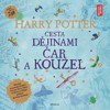 HARRY POTTER - CESTA DĚJINAMI ČAR A KOUZEL