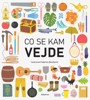CO SE KAM VEJDE