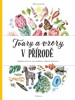 MALOVANÁ PŘÍRODA. TVARY A VZORY V PŘÍRODĚ