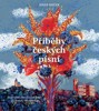 PŘÍBĚHY ČESKÝCH PÍSNÍ-PŘÍBĚHY ČESKÉ HISTORIE A PÍSNÍ