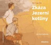 CD-ZKÁZA JEZERNÍ KOTLINY (AUDIOKNIHA PRO DĚTI)