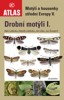 DROBNÍ MOTÝLI I. - MOTÝLI A HOUSENKY STŘEDNÍ EVROPY