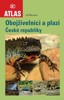 OBOJŽIVELNÍCI A PLAZI ČESKÉ REPUBLIKY