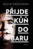 PŘIJDE KŮŇ DO BARU