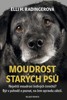 MOUDROST STARÝCH PSŮ - NEJVĚTŠÍ MOUDROST ŠEDIVÝCH ČENICHŮ
