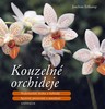 KOUZELNÉ ORCHIDEJE