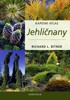 JEHLIČNANY