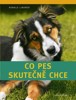 CO PES SKUTEČNĚ CHCE