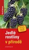 JEDLÉ ROSTLINY V PŘÍRODĚ