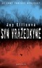 SYN VRAŽEDKYNĚ - PŘÍPADY Z LINCOLNSHIRE 1