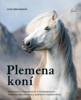 PLEMENA KONÍ