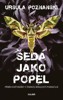 ŠEDÁ JAKO POPEL (VANITAS 2.)