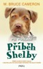 PSÍ POSLÁNÍ 5: PŘÍBĚH SHELBY