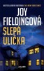 SLEPÁ ULIČKA